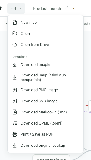 The File menu